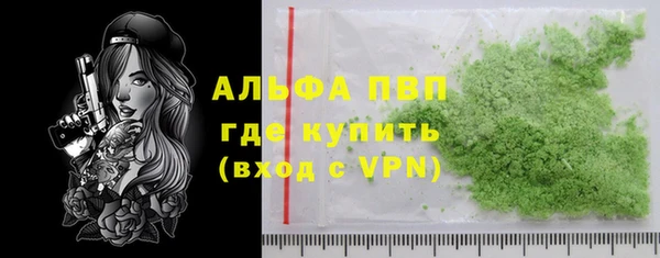 ПСИЛОЦИБИНОВЫЕ ГРИБЫ Иннополис