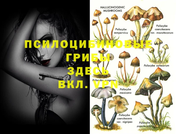ПСИЛОЦИБИНОВЫЕ ГРИБЫ Иннополис