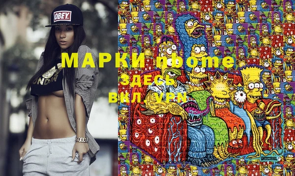дмт Инта