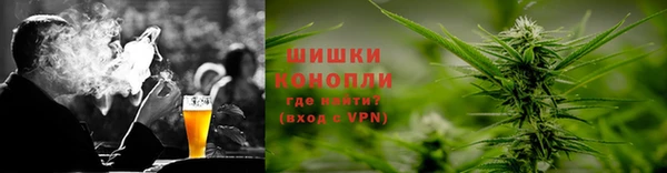 дмт Инта