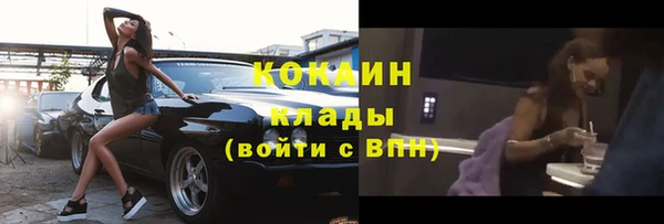 дмт Инта