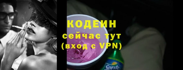 дмт Инта