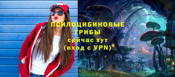 ПСИЛОЦИБИНОВЫЕ ГРИБЫ Иннополис