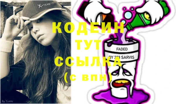 дмт Инта