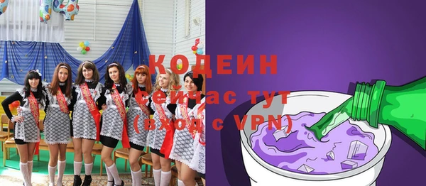 дмт Инта