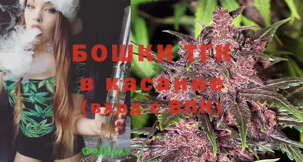 ПСИЛОЦИБИНОВЫЕ ГРИБЫ Иннополис