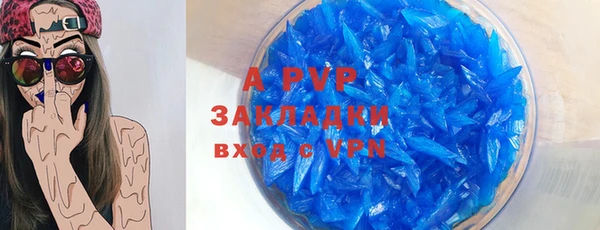ПСИЛОЦИБИНОВЫЕ ГРИБЫ Иннополис