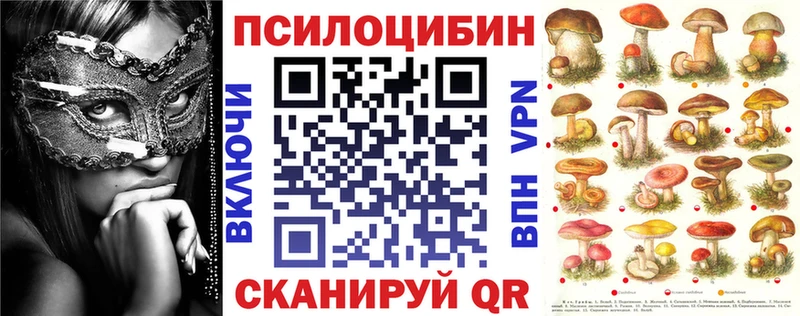 Купить закладки  Тосно  Галлюциногенные грибы мухоморы 